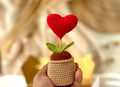Blooming Heart Crochet Pot