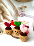Crochet Cactus Heart Pot