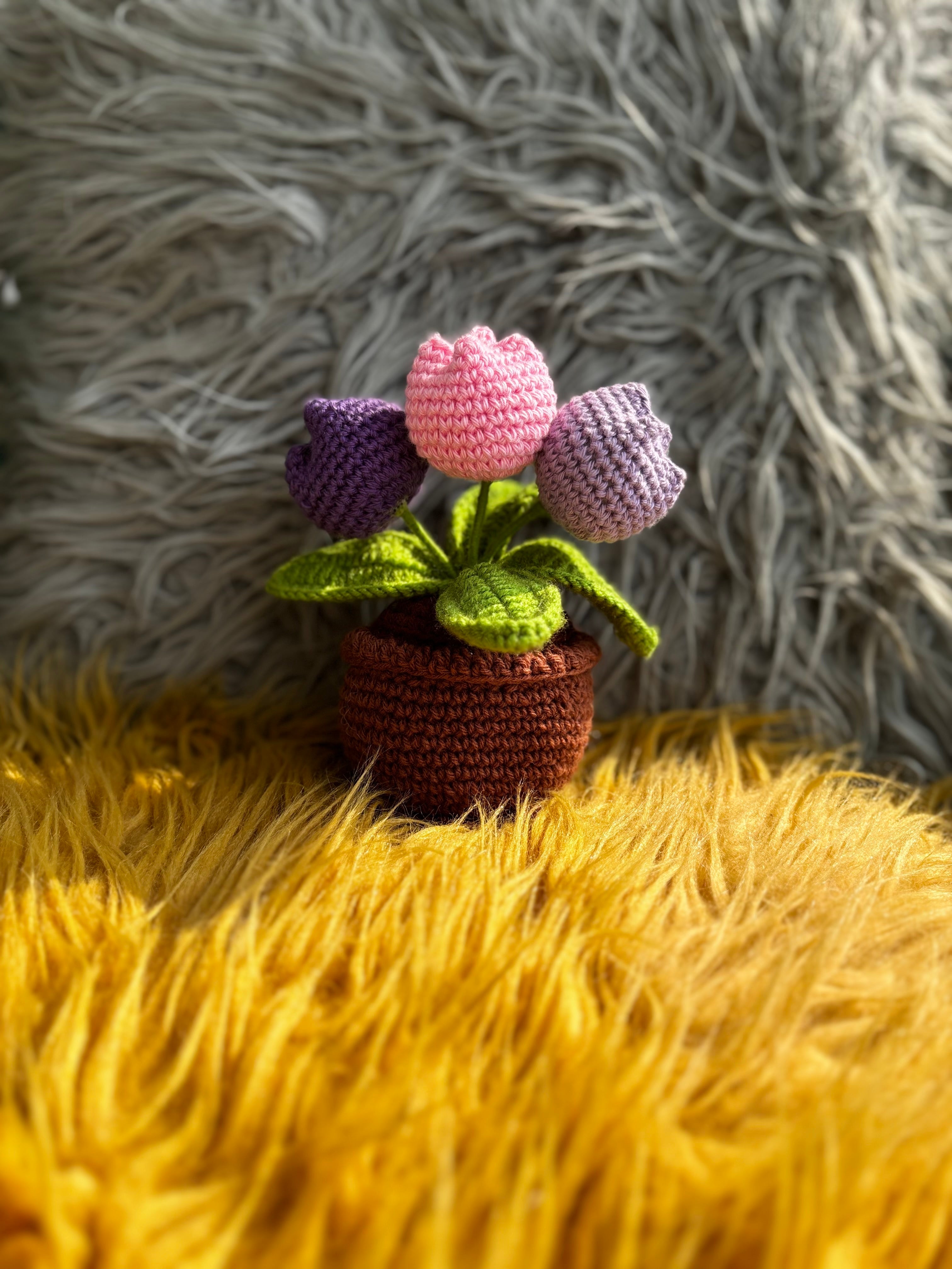 Tulip Bliss Handmade Crochet Pot